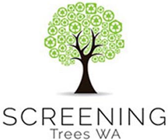 Screening Trees WA